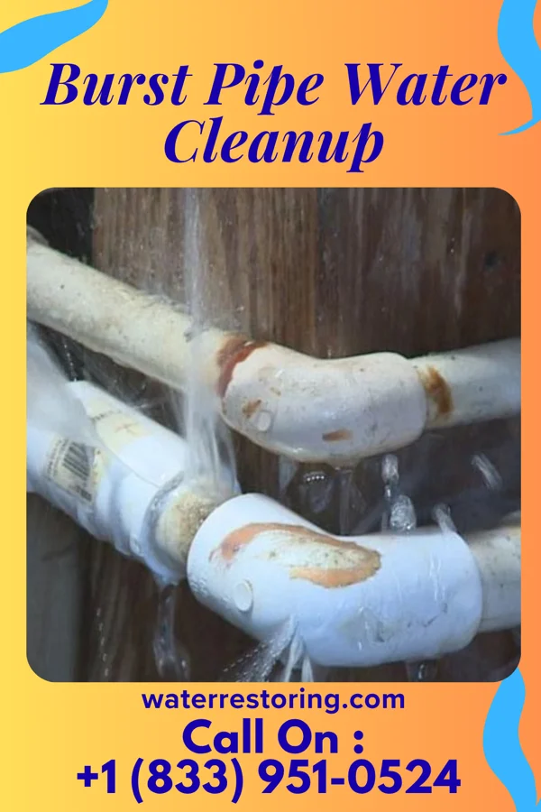 Burst Pipe Water Cleanup in Butte Creek Canyon, CA